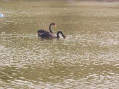 -哈尔滨师范大学(松北校区)