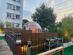 -羊门客在·烤盐池滩羊·川菜