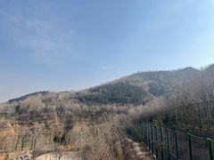 -青藏高原野生动物园