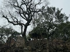 -豫园