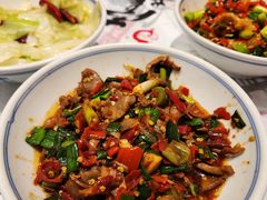 -壹盏灯(惠农店)