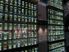-广东中医药博物馆