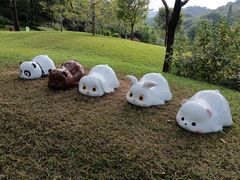 -云溪植物园