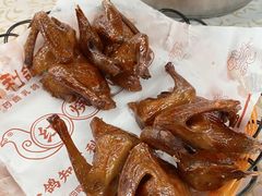 -百利鸽王(紫薇路店)