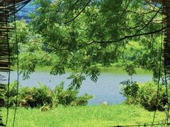 -华侨城湿地公园