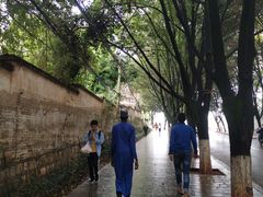 -西南林业大学(白龙校区)