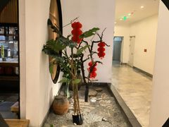-绿茶餐厅(西单老佛爷店)