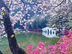 -星湖旅游景区七星岩