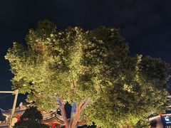 -古韵轩·园林餐厅