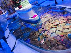 螃蟹-澜悦港海鲜体验主题餐厅