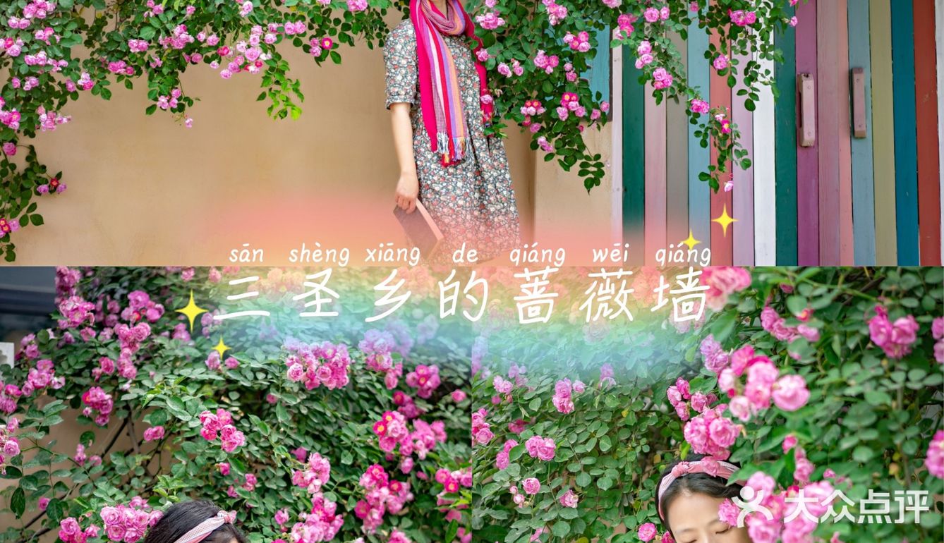 发现一个开满蔷薇的院子，是春天的样子