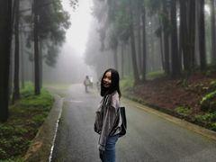 -山王坪喀斯特国家生态公园
