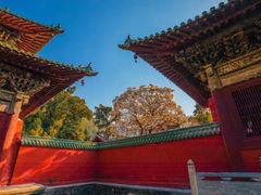 -报恩寺(平武县)