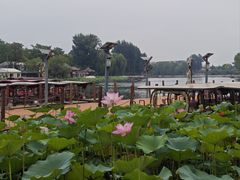 -同和居(什刹海店)