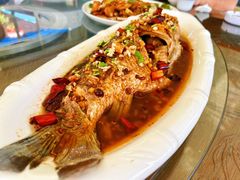 -巩本明鱼屋子