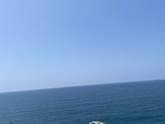 -广东惠东海龟国家级自然保护区