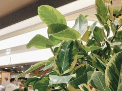 -苏小柳点心·手作小笼包(浦东嘉里城分院)