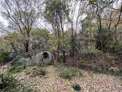 -青龙山国家森林公园
