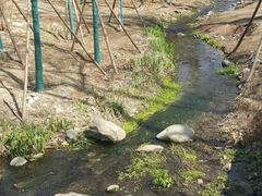 -白水寺森林公园