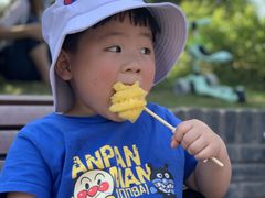 -枫香湖儿童公园