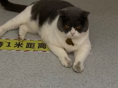 -云城照相馆(龙湖雨山天街店)