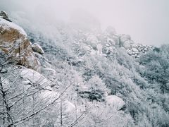 -崂山巨峰游览区