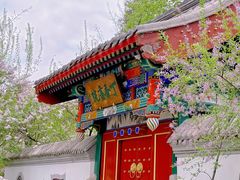 -宣武艺园