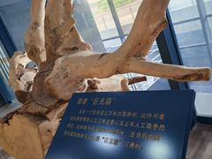 -香市公园-中国沉香文化博物馆