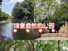 -晓港公园