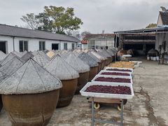 -苏州市吴中区光福窑上花果蜜饯厂