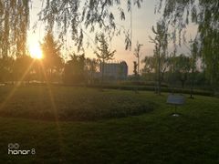 -东华大学(松江校区)