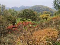 -玉渡山自然风景区