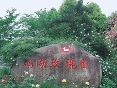 -鹅湖玫瑰文化园