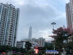 -水围村