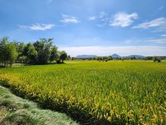 -良渚古城遗址公园
