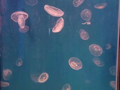 -石林冰雪海洋世界