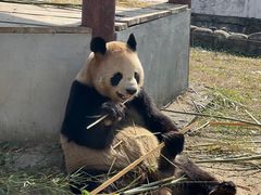 -杭州野生动物世界