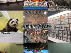-国家自然博物馆