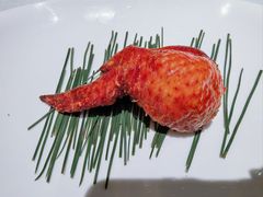 -许家菜.艺创菜(仁和新城店)