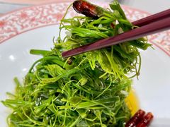 -酒蜻蜓·庭院私房菜(天元东路店)