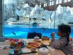 -帝企鹅自助餐厅•儿童岛•真企鹅(长隆企鹅酒店)