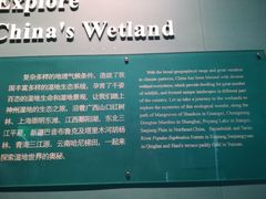 -中国湿地博物馆