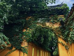 -西园戒幢律寺