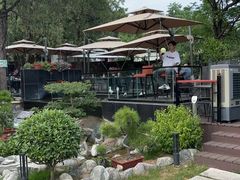 -蘇河湾·新鲁菜·泰山宴(泰山店)