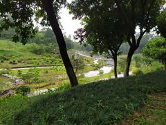 -东莞植物园