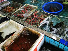 水产区-霞涌市场海鲜摆卖区