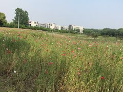 -南京邮电大学(仙林校区)