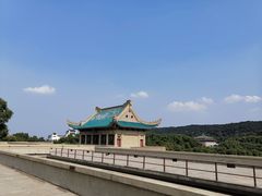 -武汉大学-樱园