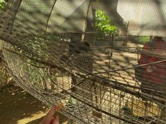 -南宫五洲植物乐园