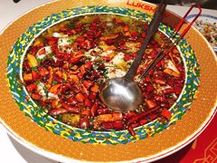 招牌酸菜鲈鱼-禄鼎记·多口味酸菜鱼(侨鑫店)